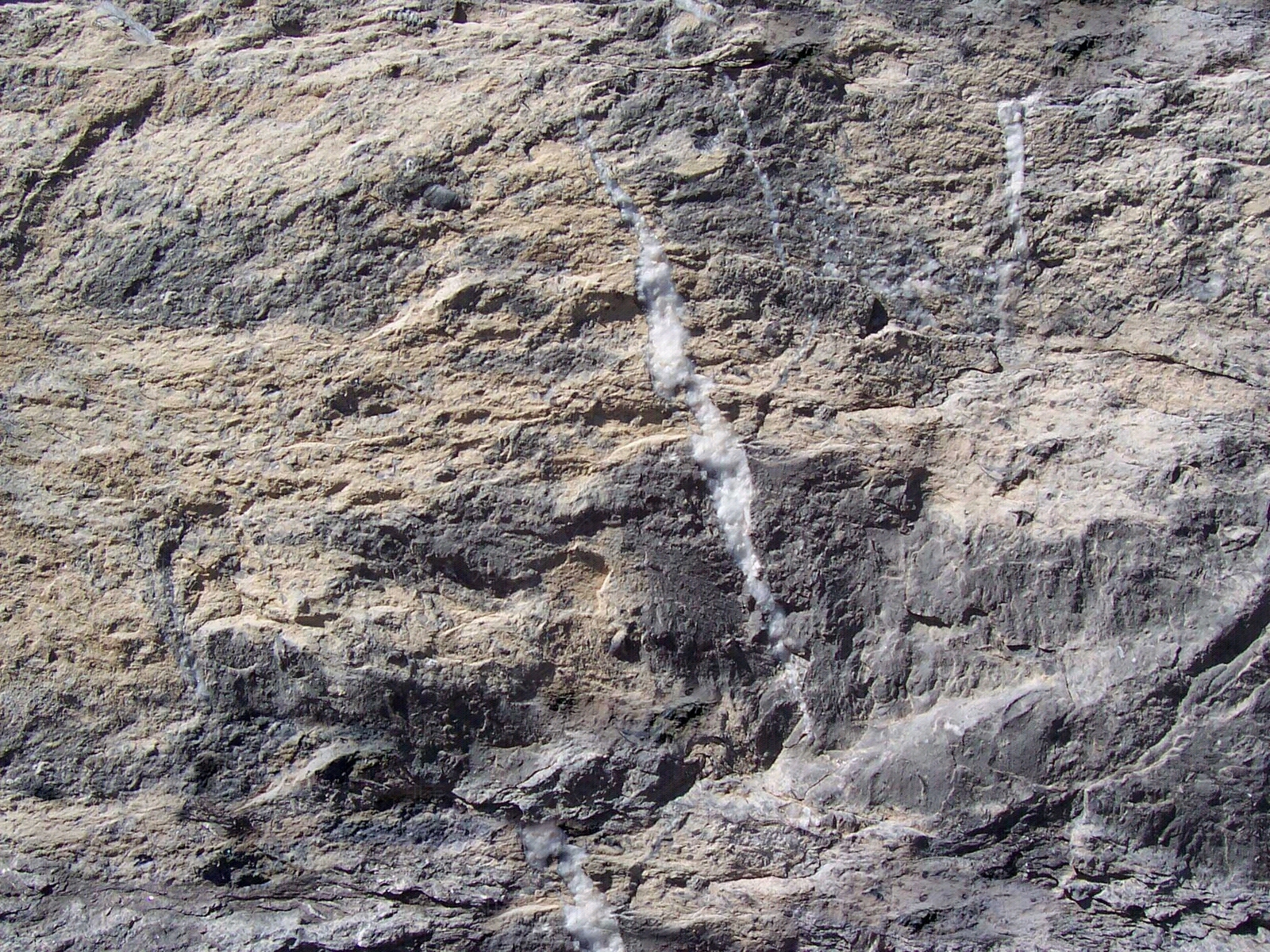 石岩壁,石头,石墙贴图下载【ID:860901614】