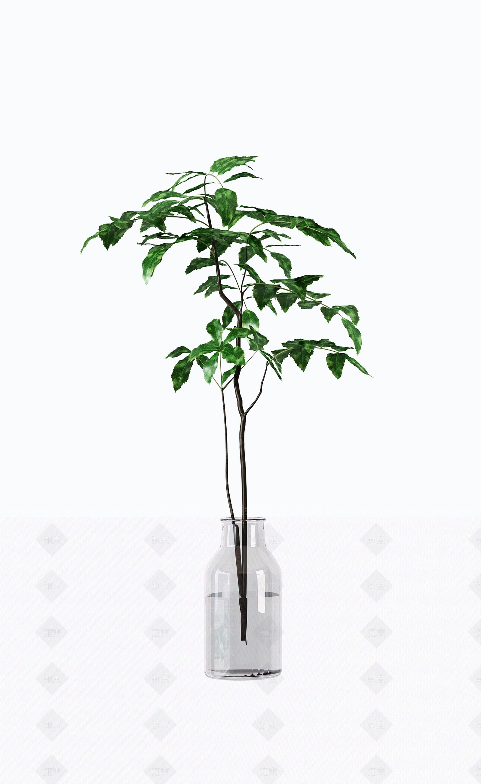 现代水生绿植3D模型下载【ID:362205888】