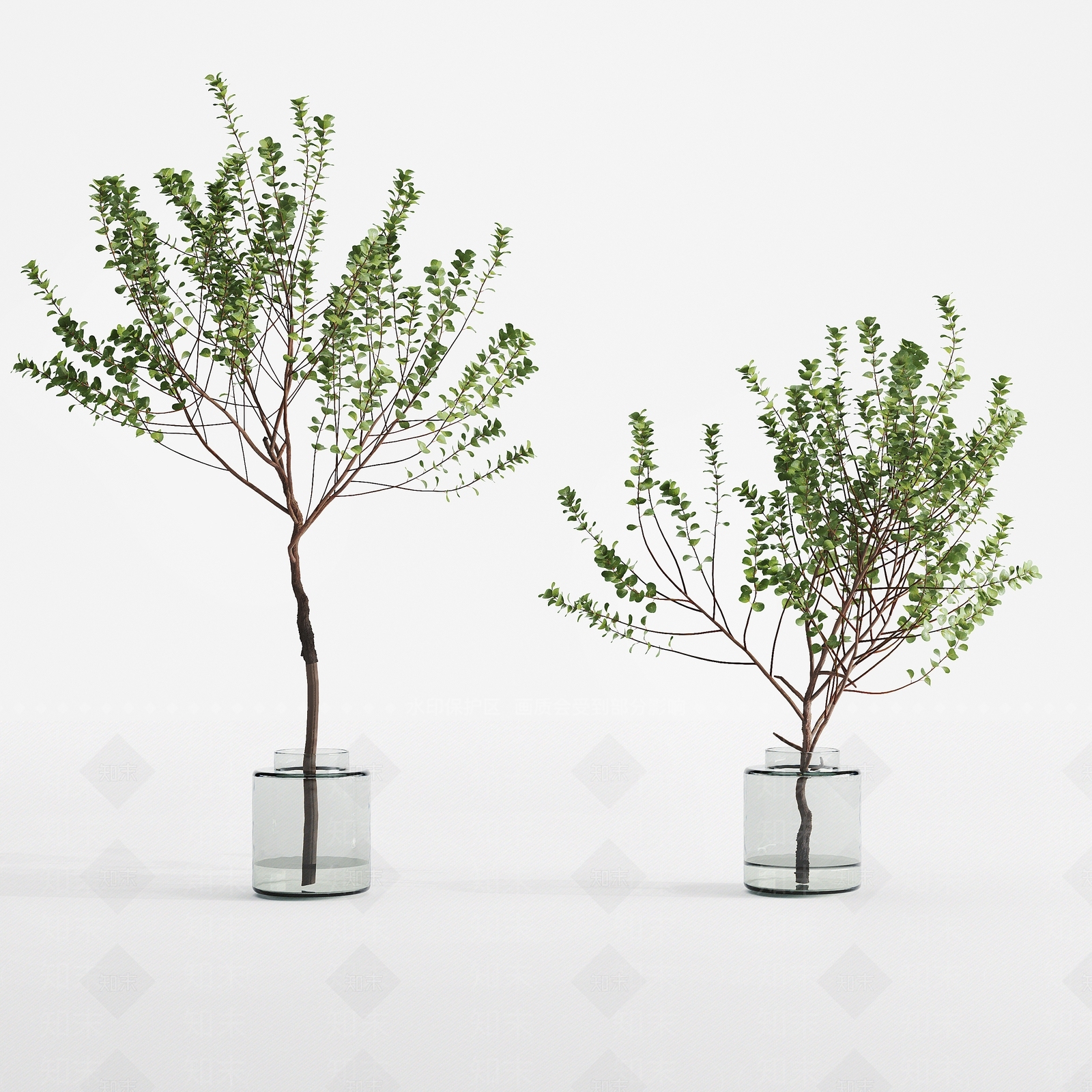 现代水生植物3D模型下载【ID:362323838】