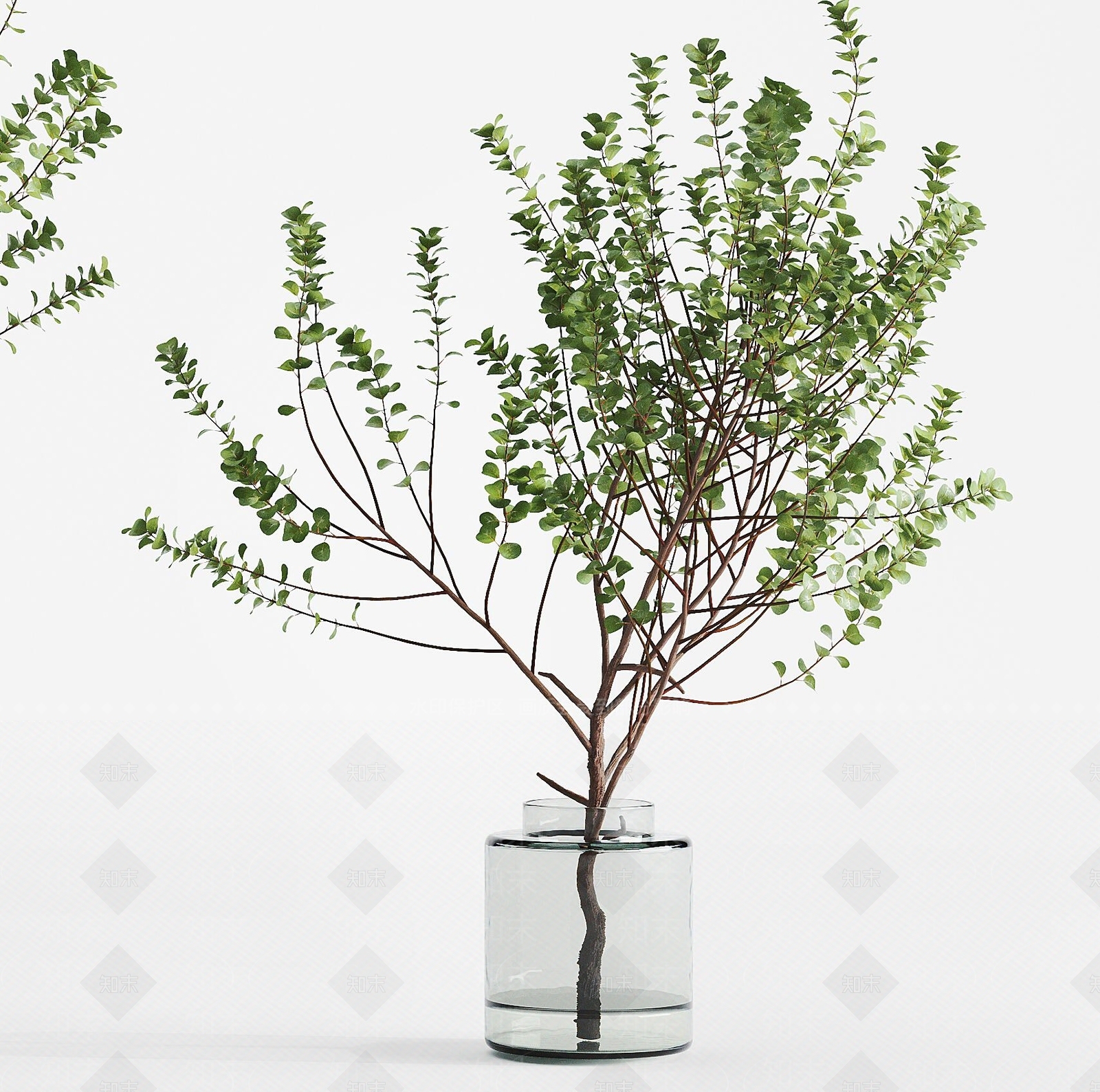 现代水生植物3D模型下载【ID:362323838】