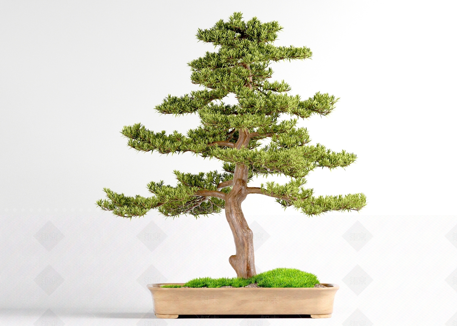 新中式盆栽3D模型下载【ID:364106890】