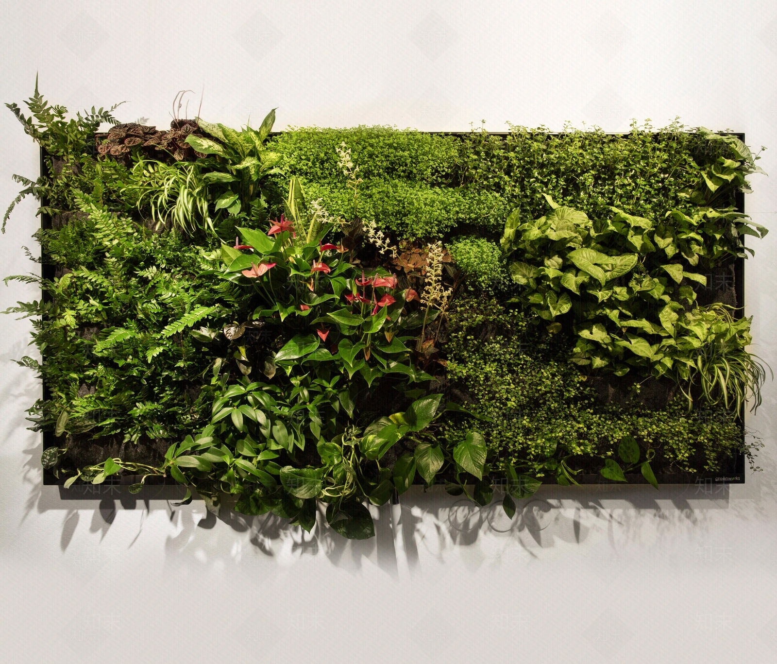 植物墙贴图下载【ID:465875259】