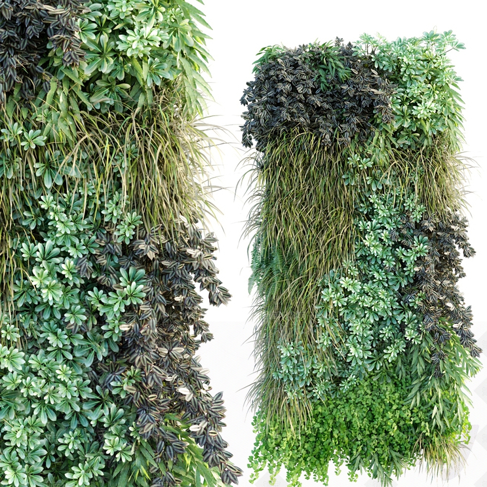 现代植物墙3D模型下载【ID:466082212】