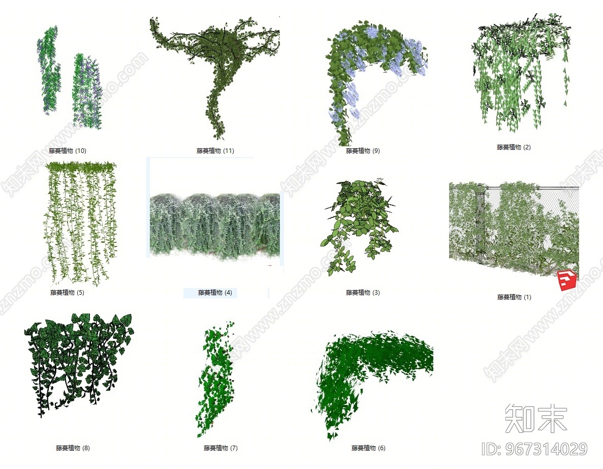 现代风格藤蔓植物攀缘植物攀爬植物SU模型下载【ID:967314029】