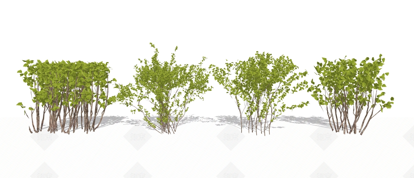 现代风格球形灌木植物SU模型下载【ID:167575919】