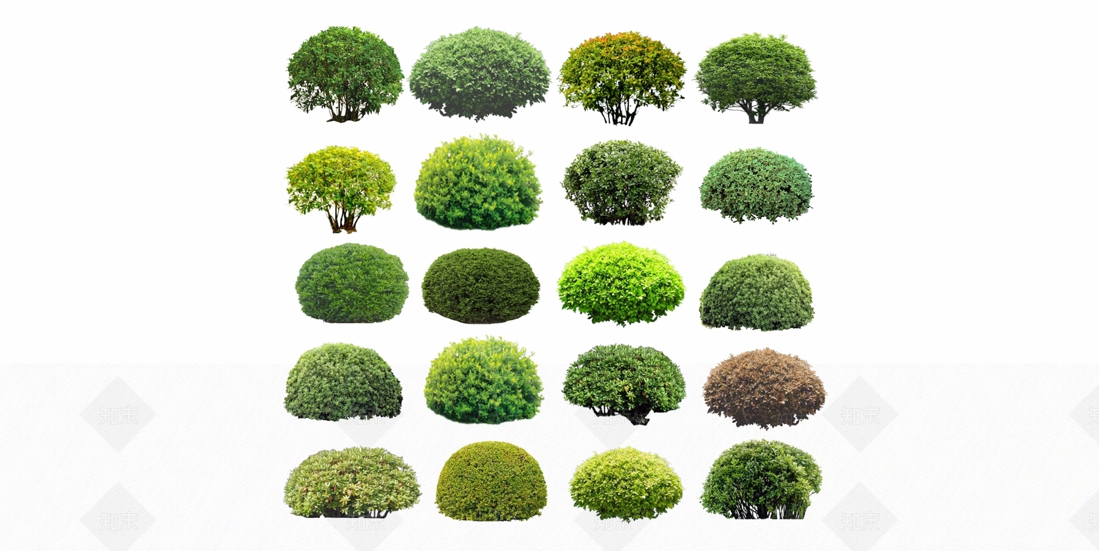 现代风格球形灌木su模型下载