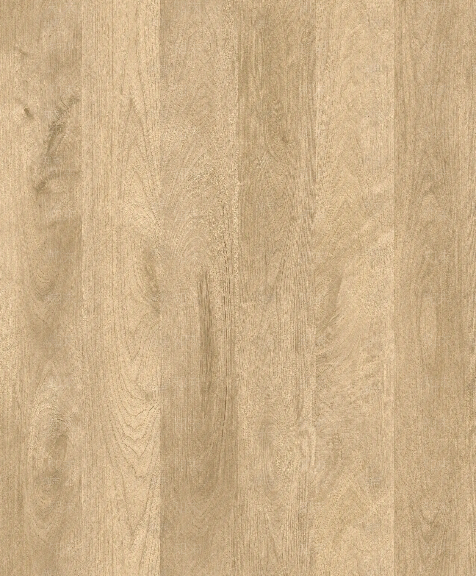 高清木饰面贴图下载