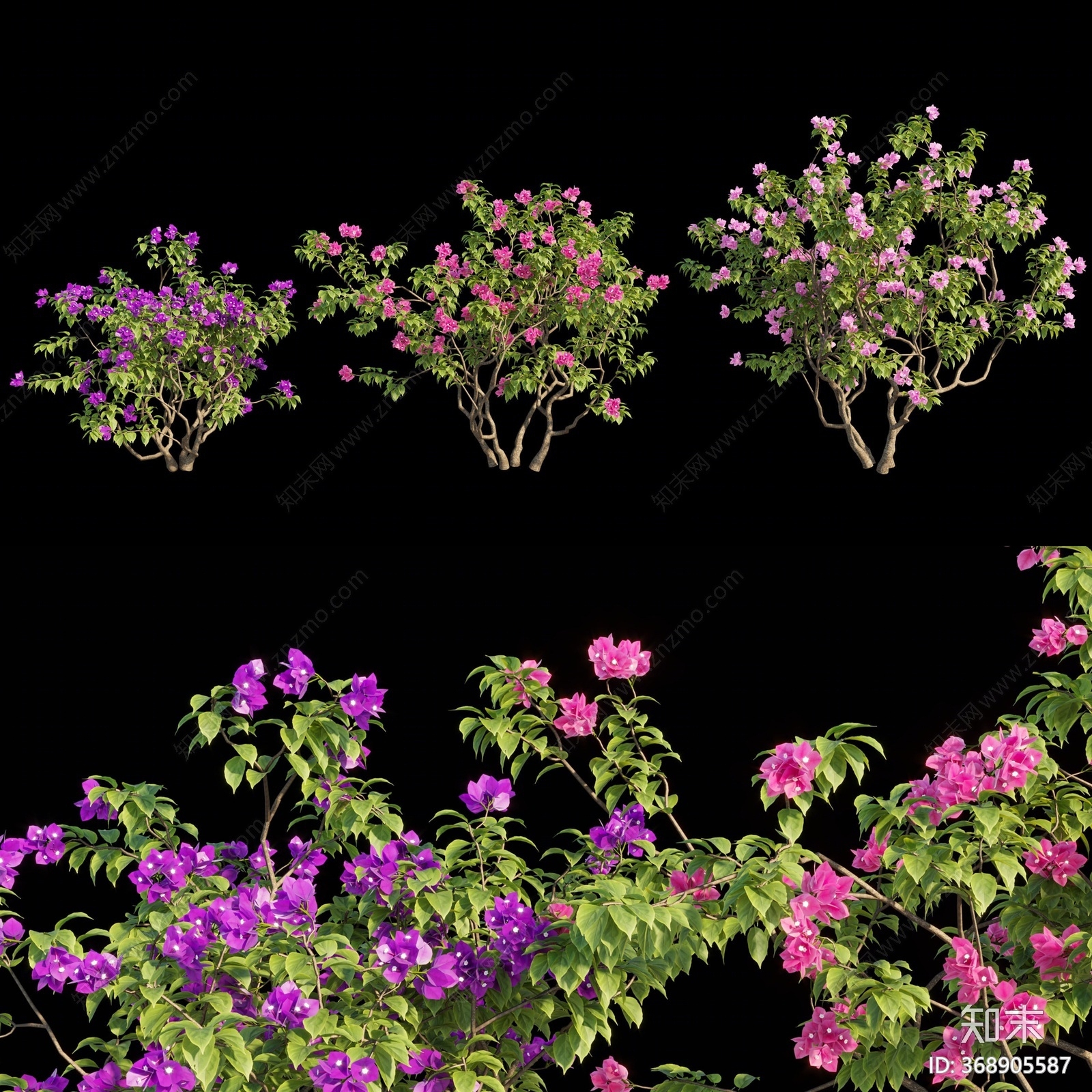 现代花卉3D模型下载【ID:368905587】