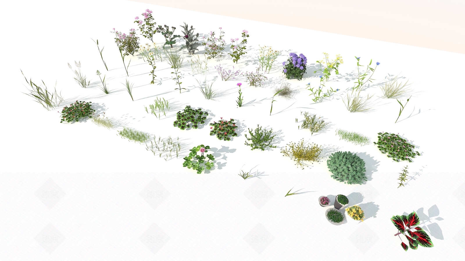 现代花草3D模型下载【ID:369020570】