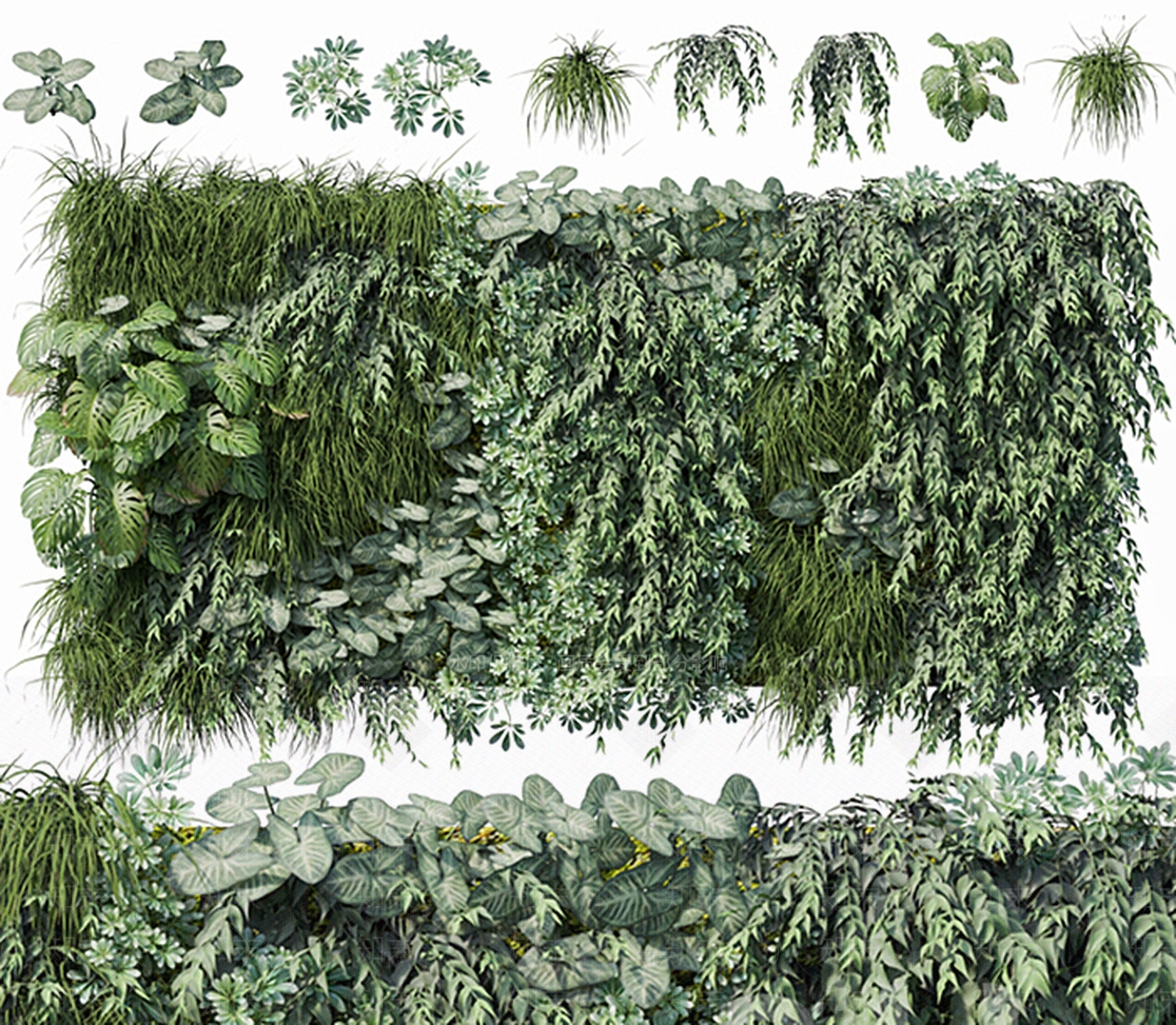 现代盆栽植物3D模型下载【ID:369525828】