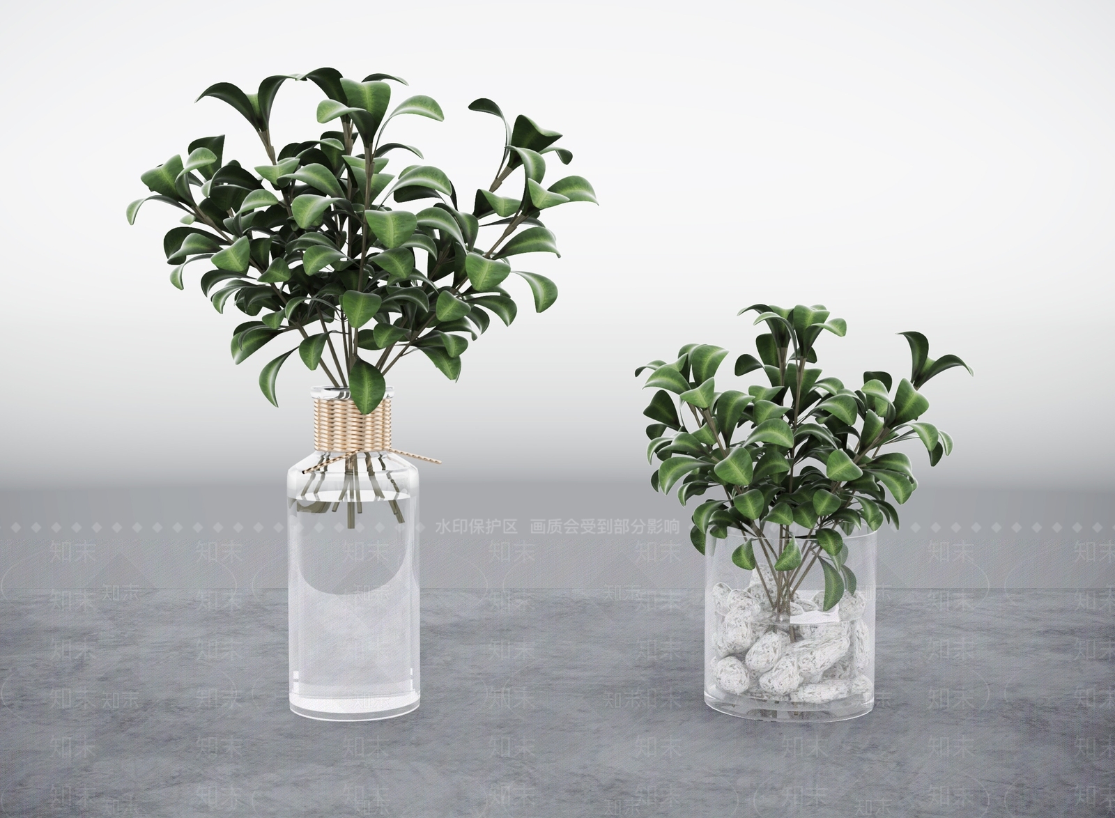 现代水生植物3D模型下载【ID:370264860】