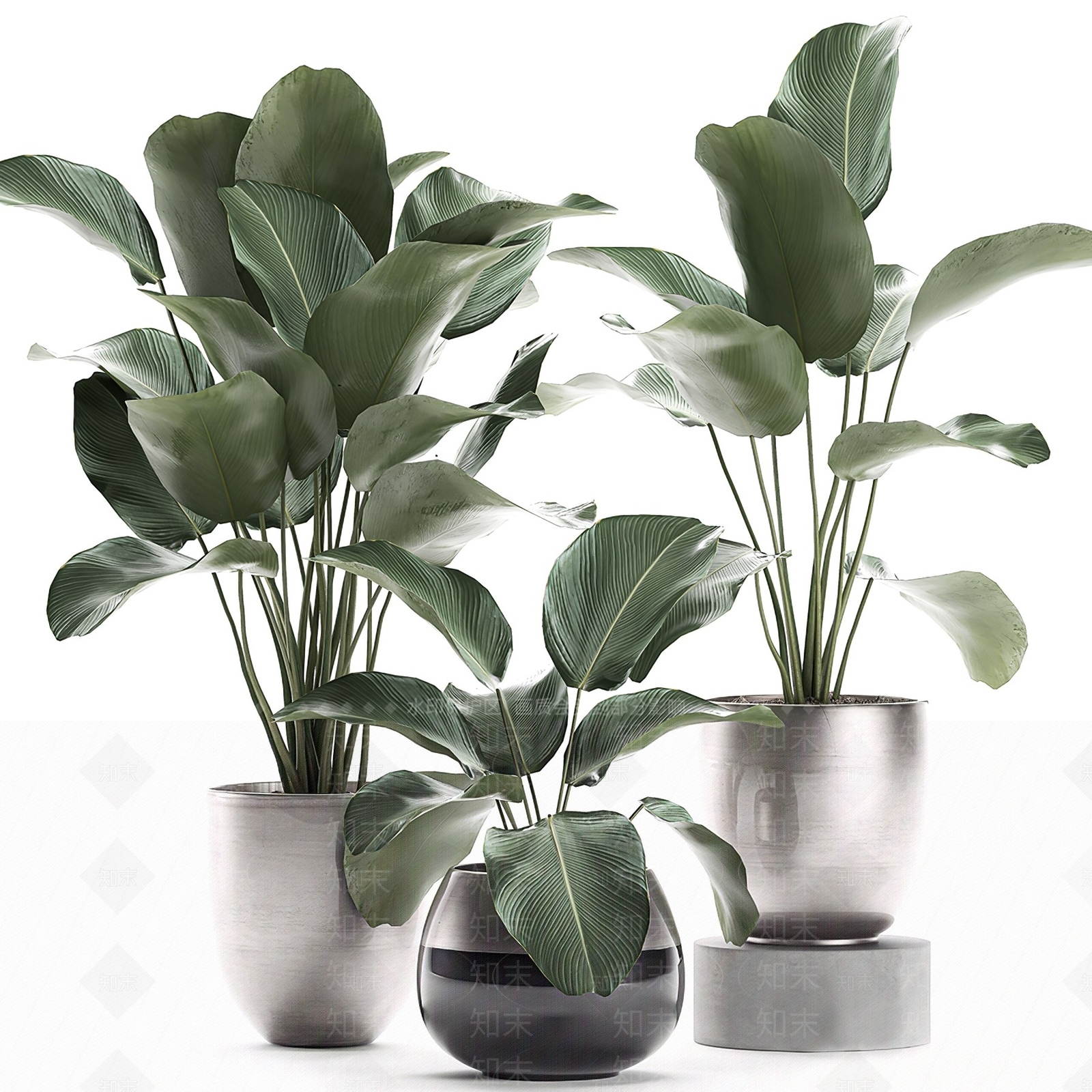 现代盆栽植物3D模型下载【ID:370336802】_知末3d模型网