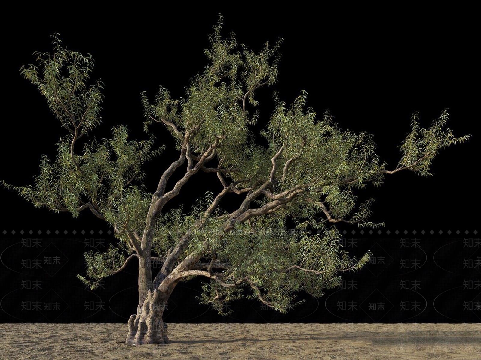 现代树木3D模型下载【ID:370620619】