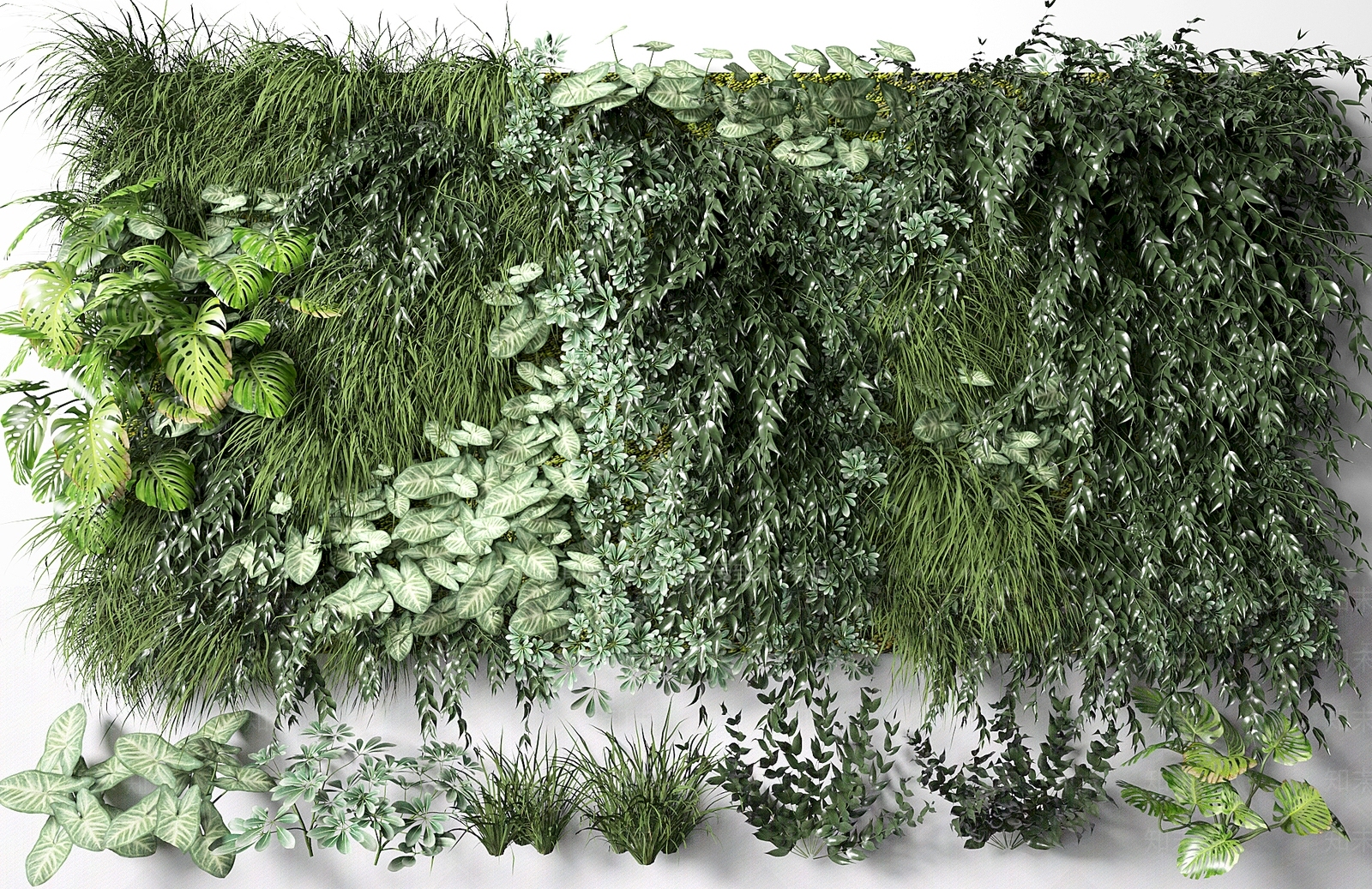 现代植物墙3D模型下载【ID:470881241】