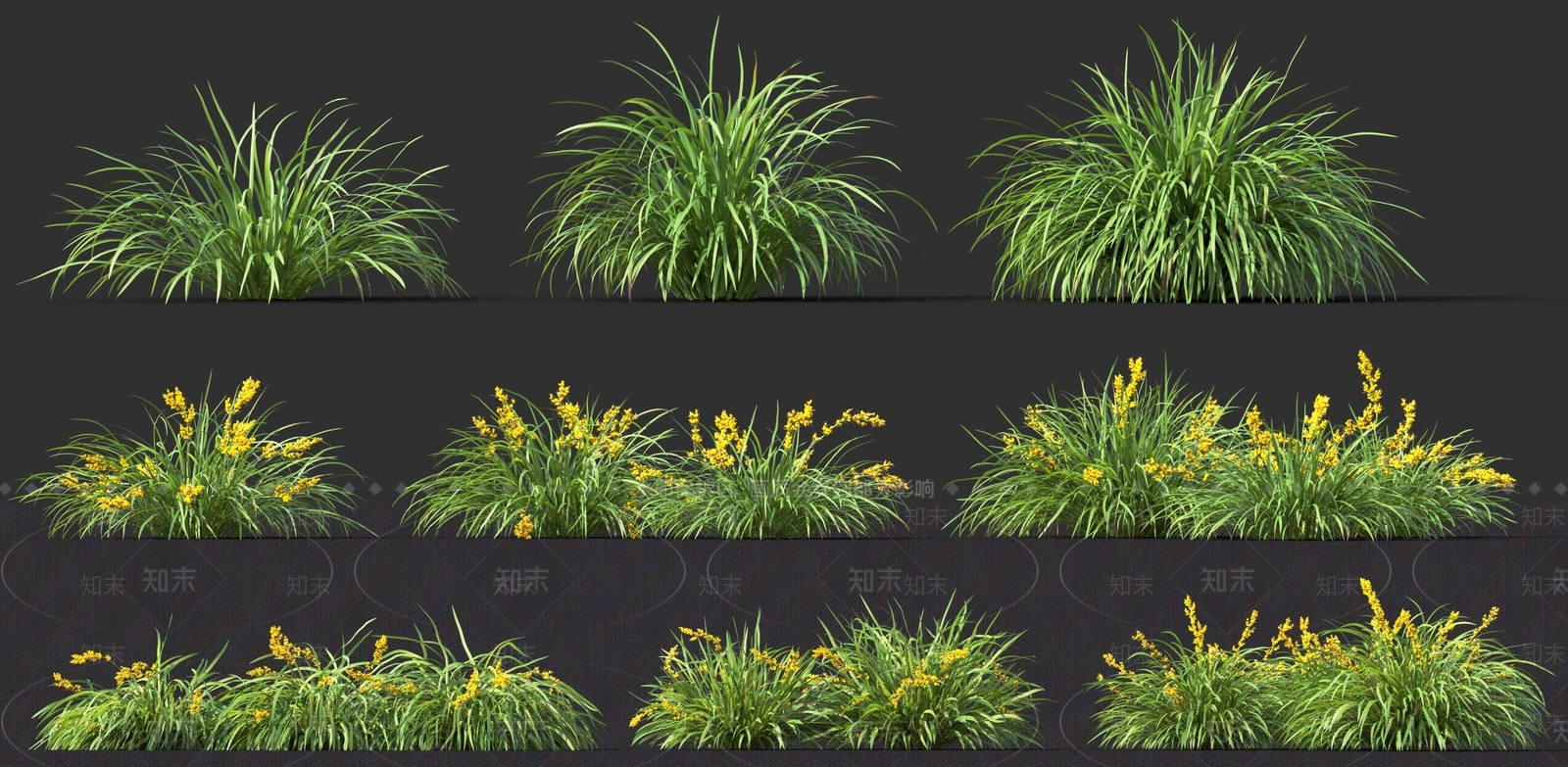 现代花草3D模型下载【ID:371307515】