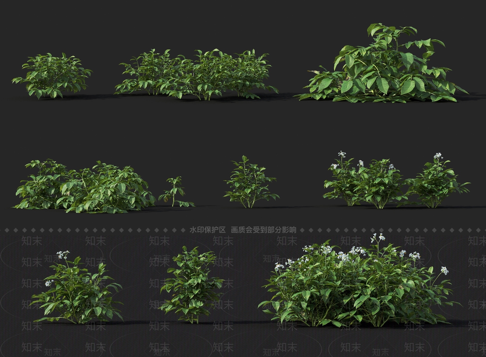 现代花草3D模型下载【ID:371534544】