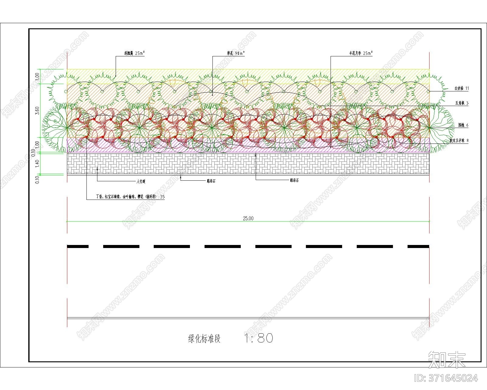 道路绿化cad施工图下载【ID:371645024】