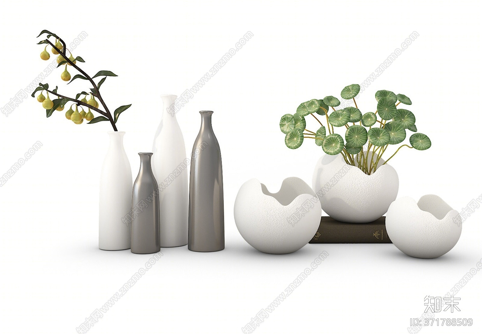现代花瓶花卉植物干枝花草3d模型 Id 知末3d模型网 现代花瓶花卉植物干枝花草3d模型 Id 知末3d模型网