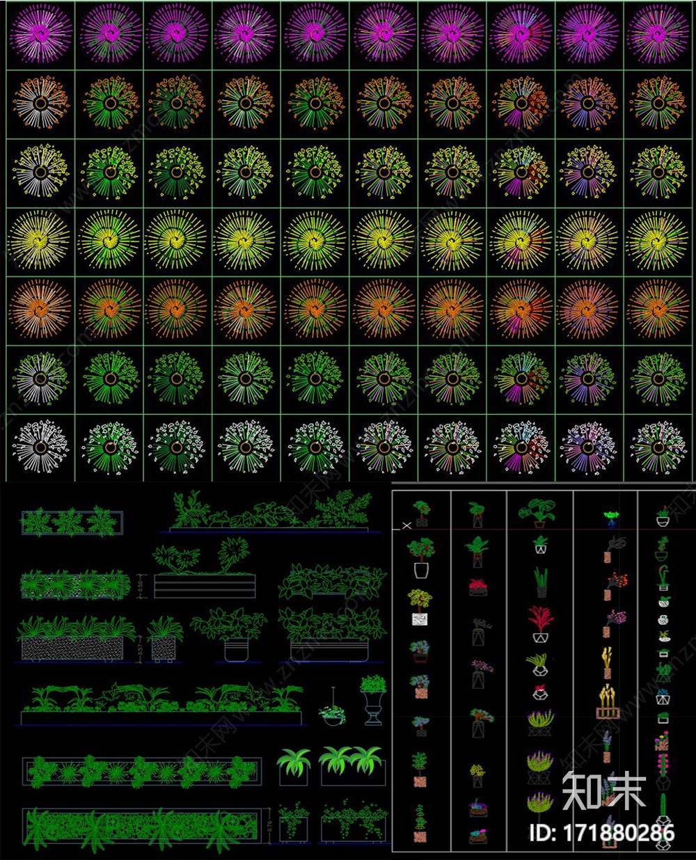植物CAD平立面图库施工图下载【ID:171880286】