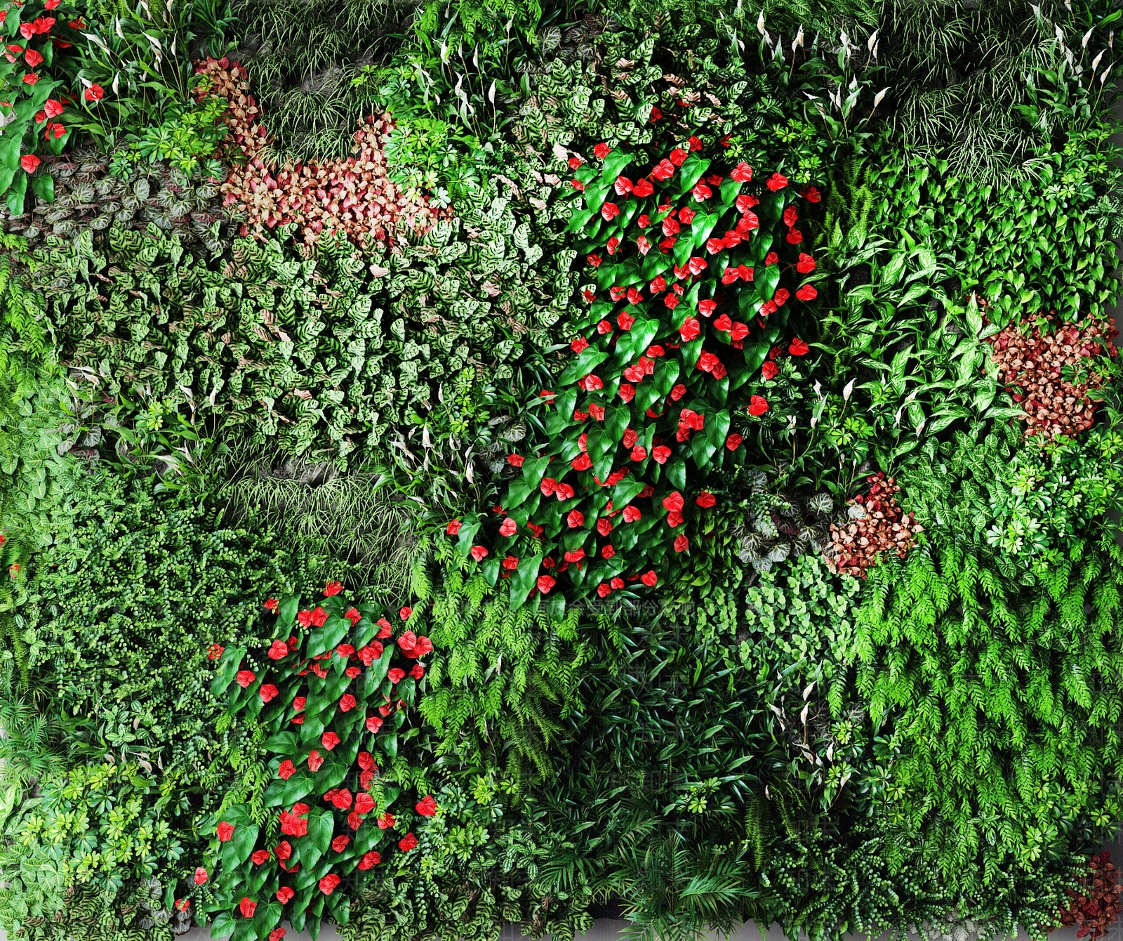 现代植物3D模型下载【ID:472104214】