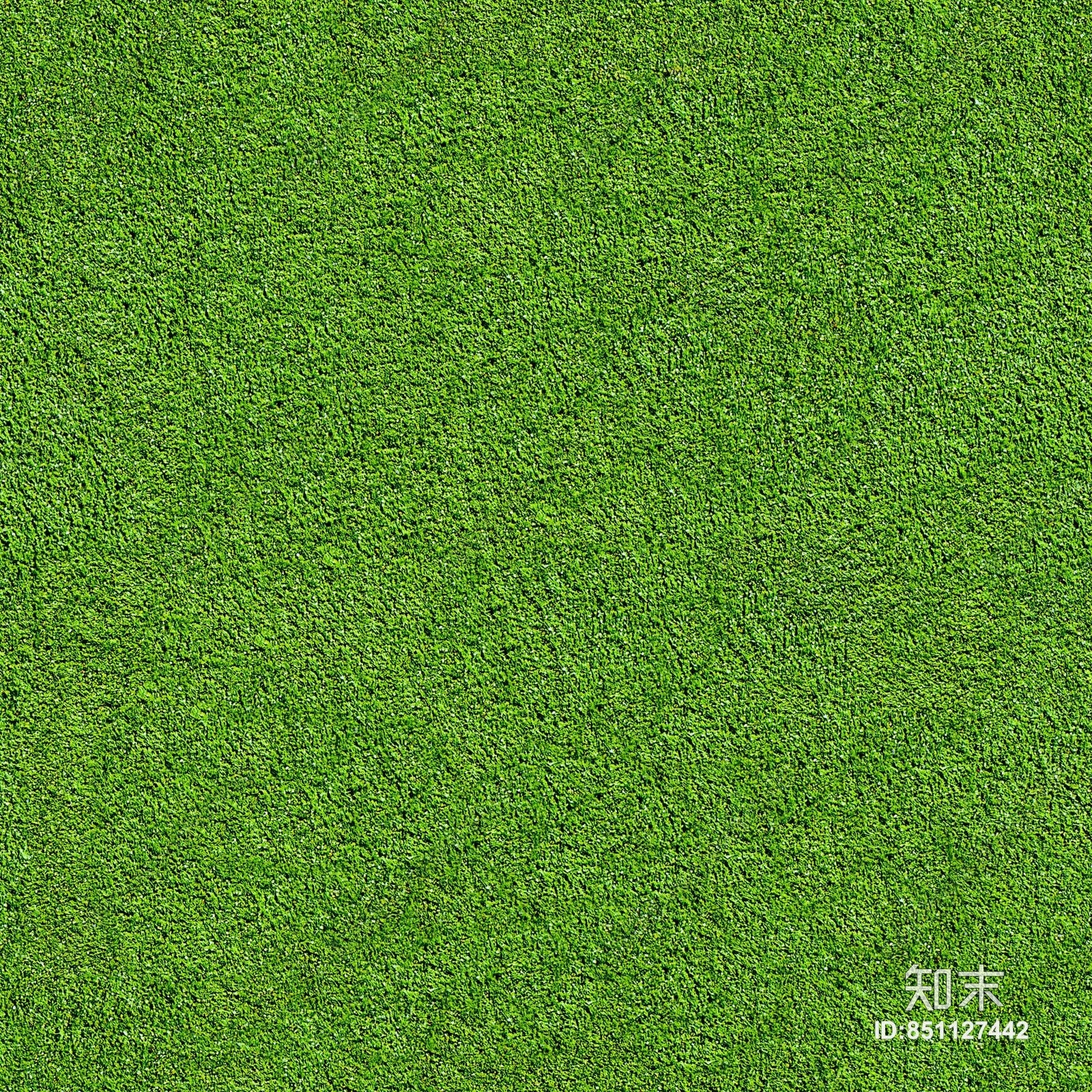 草坪贴图下载【ID:851127442】