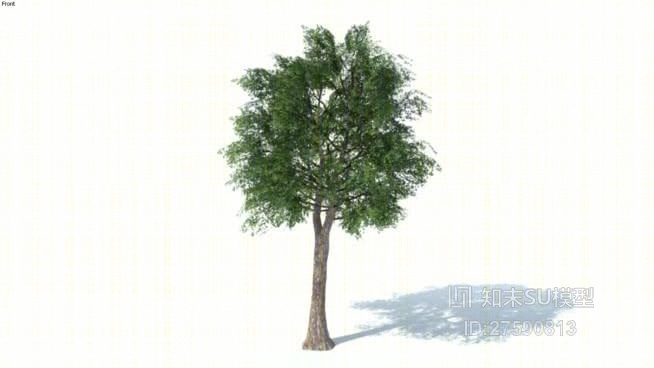 树SU模型下载【ID:119296686】