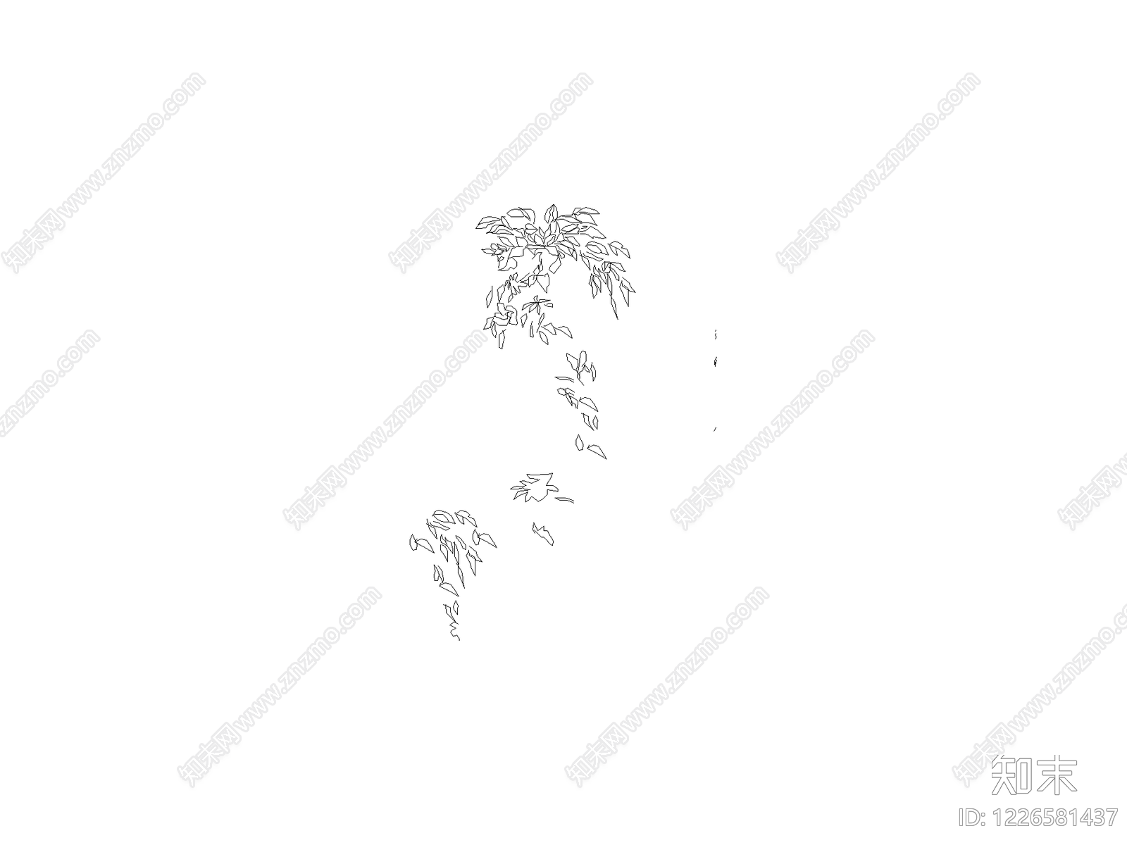乔木种植cad施工图下载【ID:1226581437】