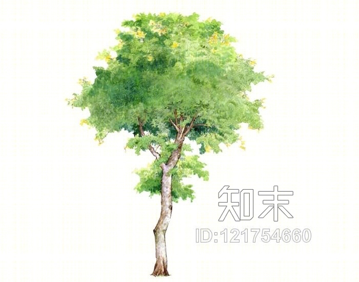 2D水彩风格树SU模型下载【ID:121754660】