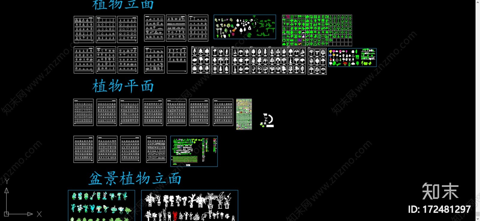 标准植物cad施工图下载【ID:172481297】