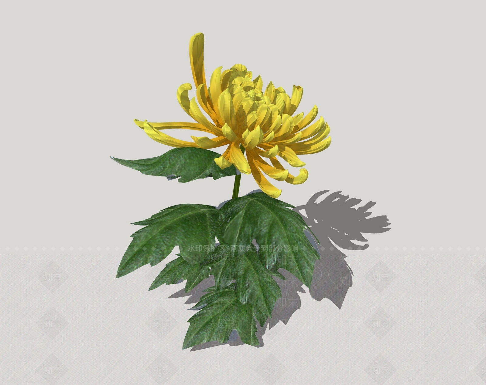 现代菊花SU模型下载【ID:172508527】