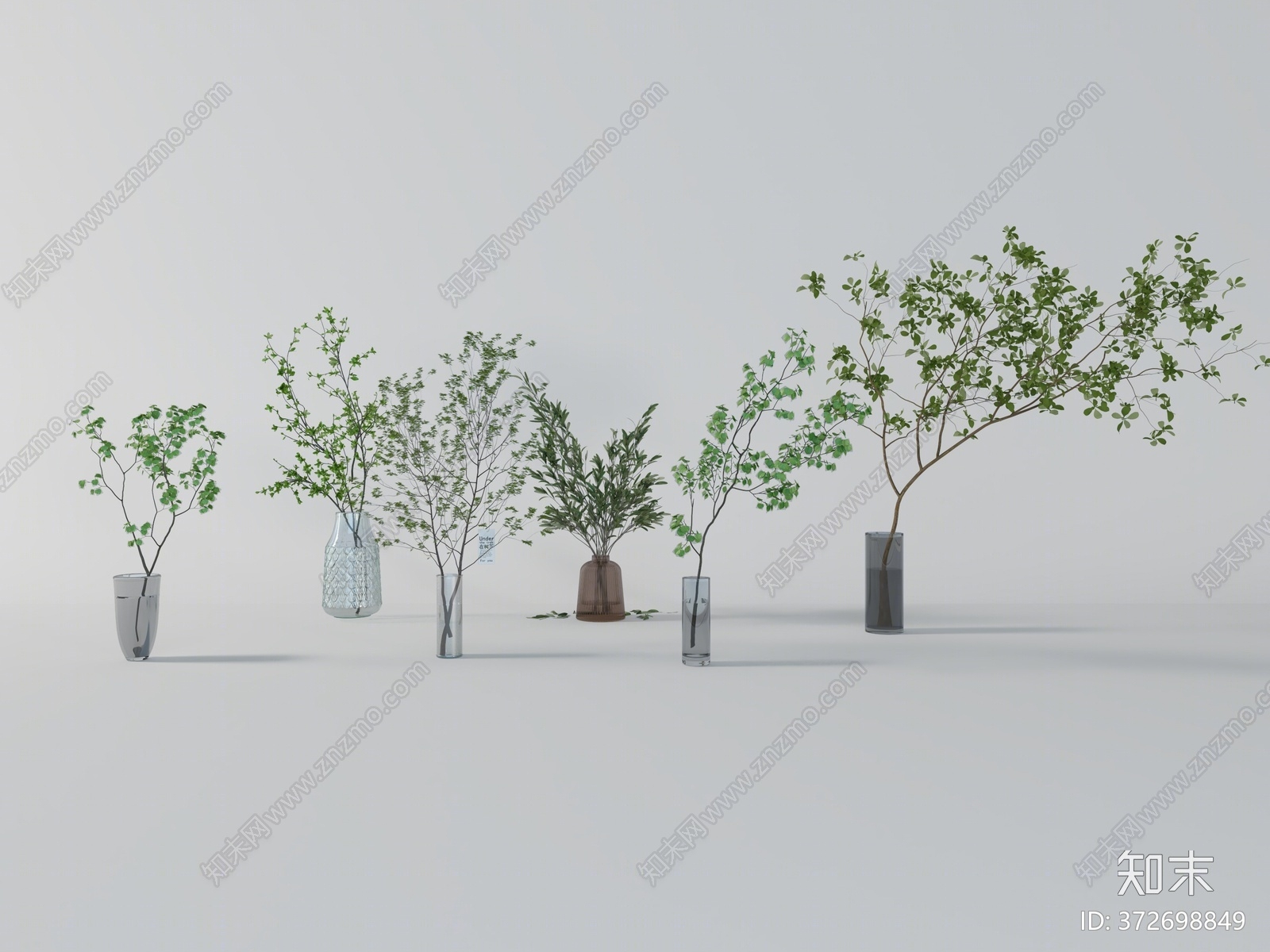 现代水生植物3D模型下载【ID:372698849】