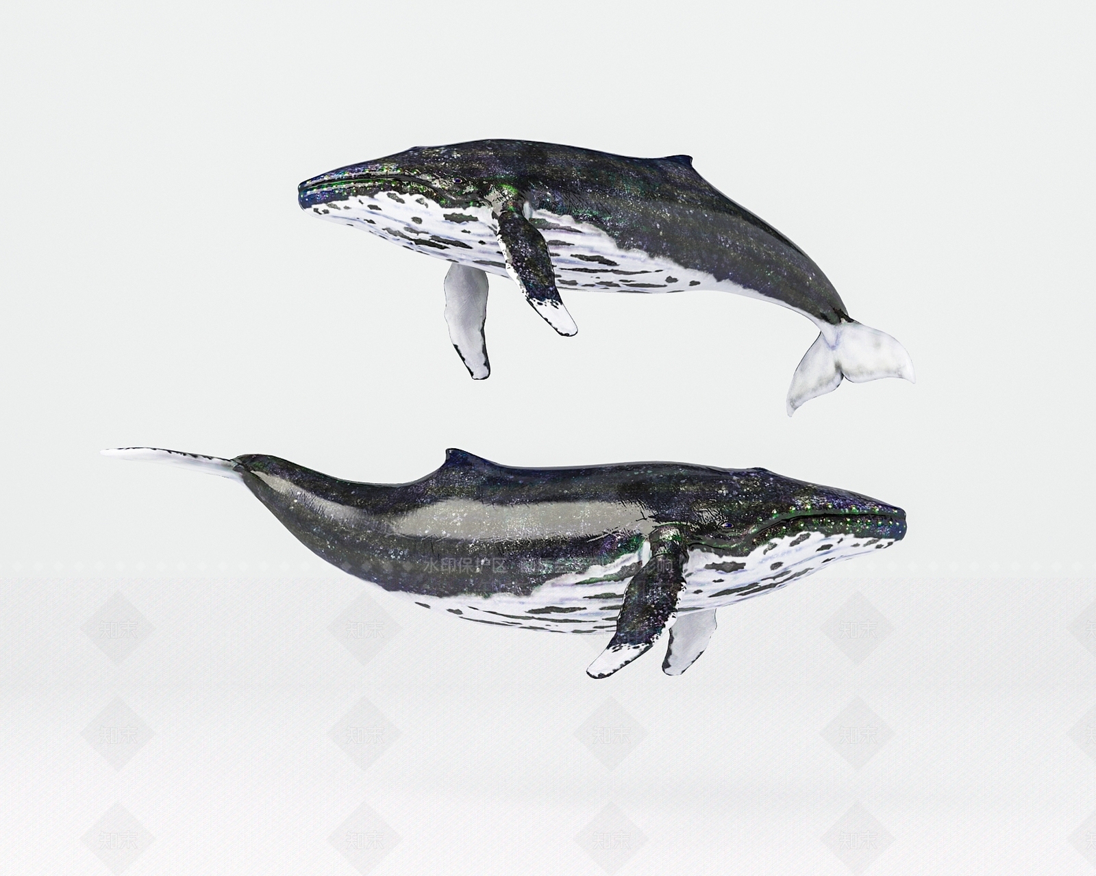 现代鲸鱼3D模型下载【ID:672950170】
