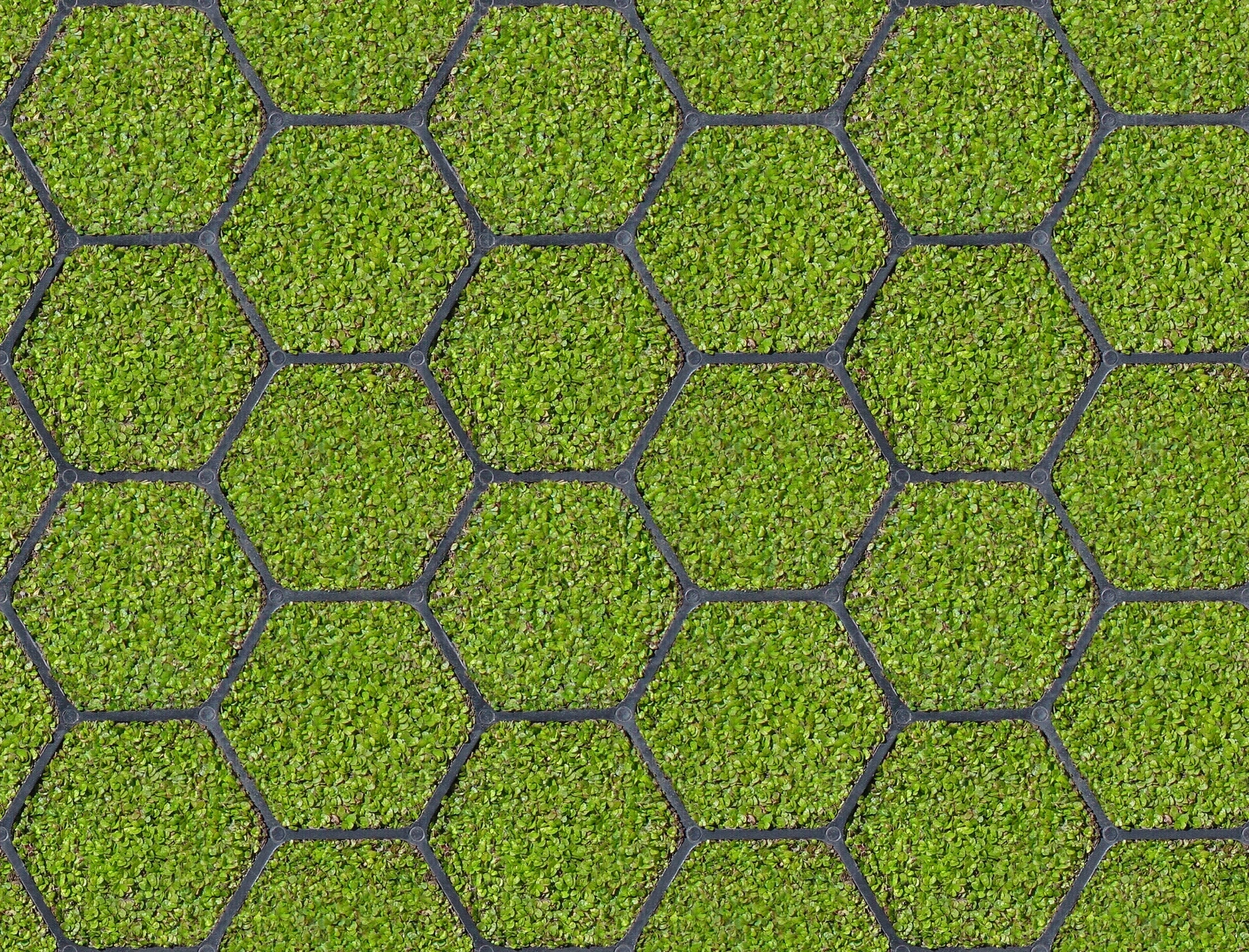 草坪贴图下载【ID:473134339】