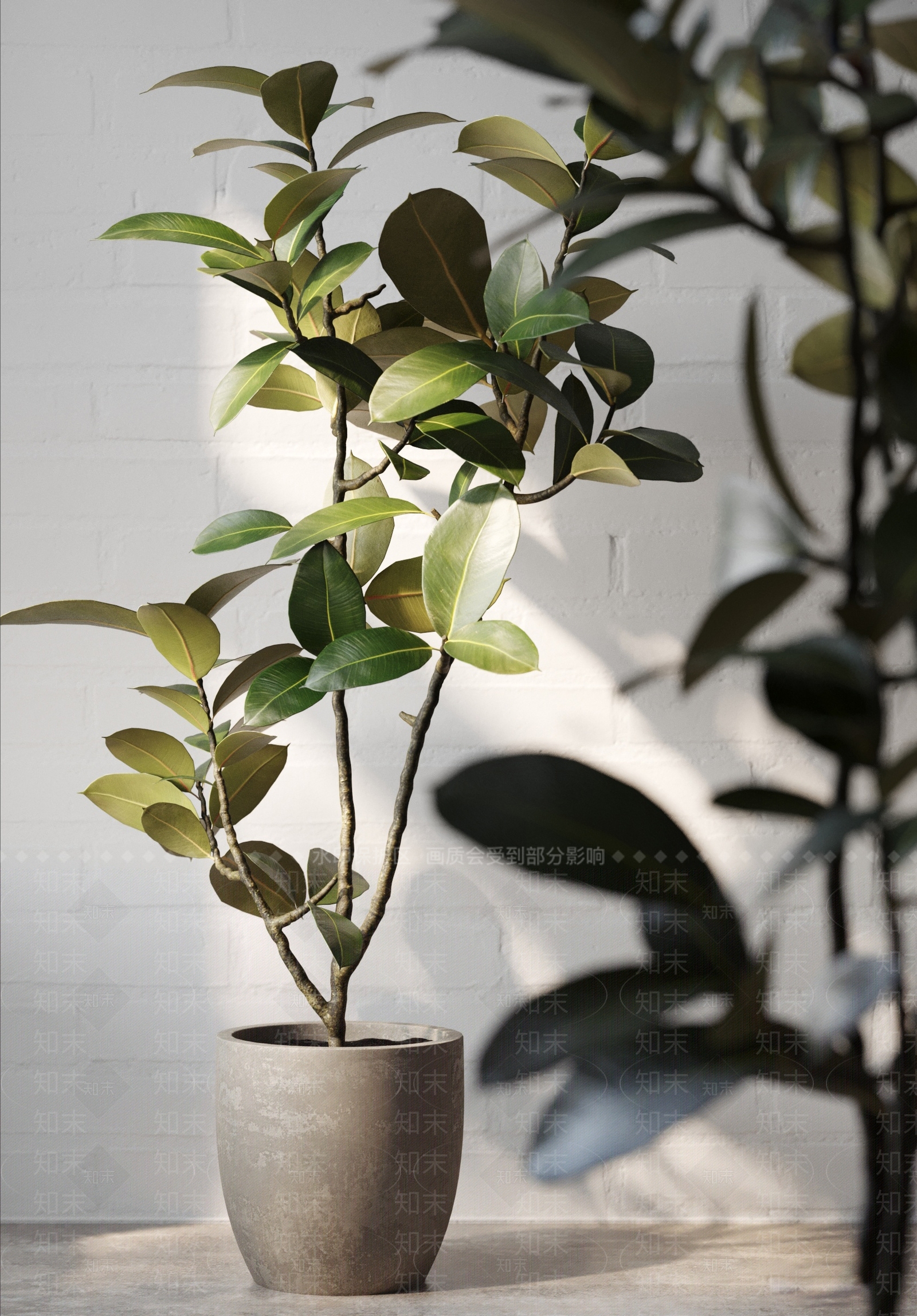 现代风格植物盆栽3d模型下载