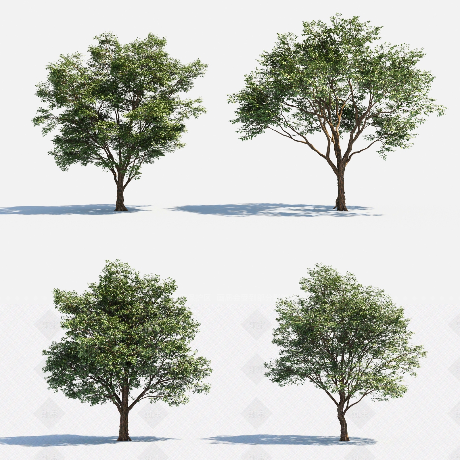 现代树木3D模型下载【ID:373547634】