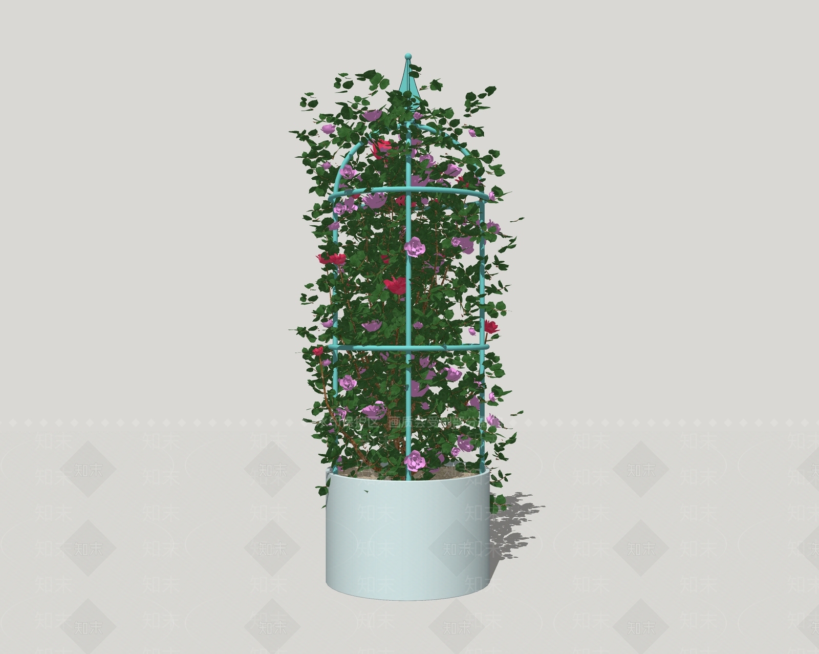 现代月季花SU模型下载【ID:173568523】