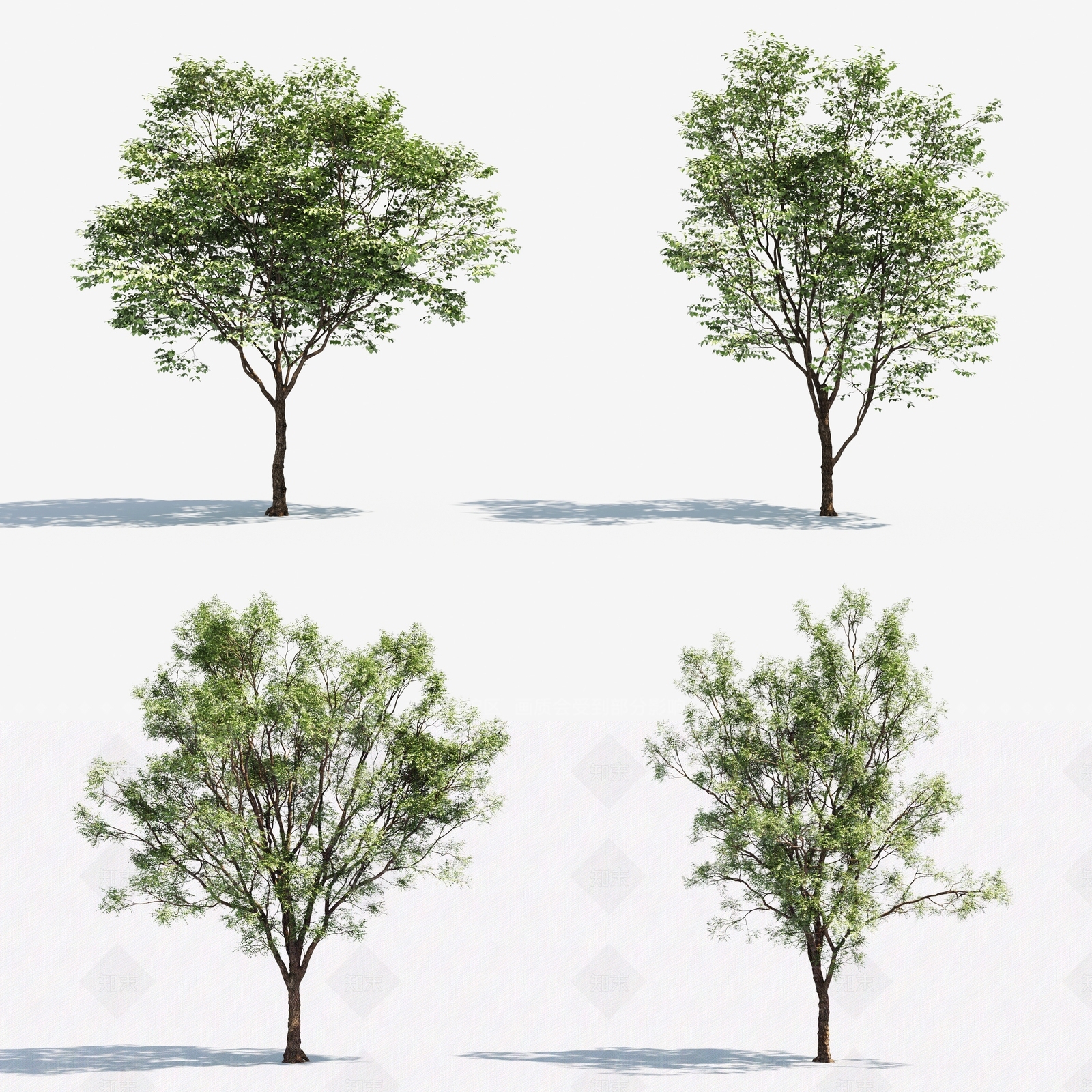 现代树木3D模型下载【ID:373589654】