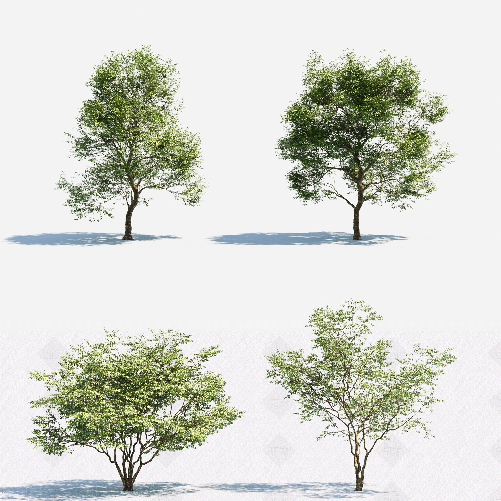 现代树木3D模型下载【ID:373589676】