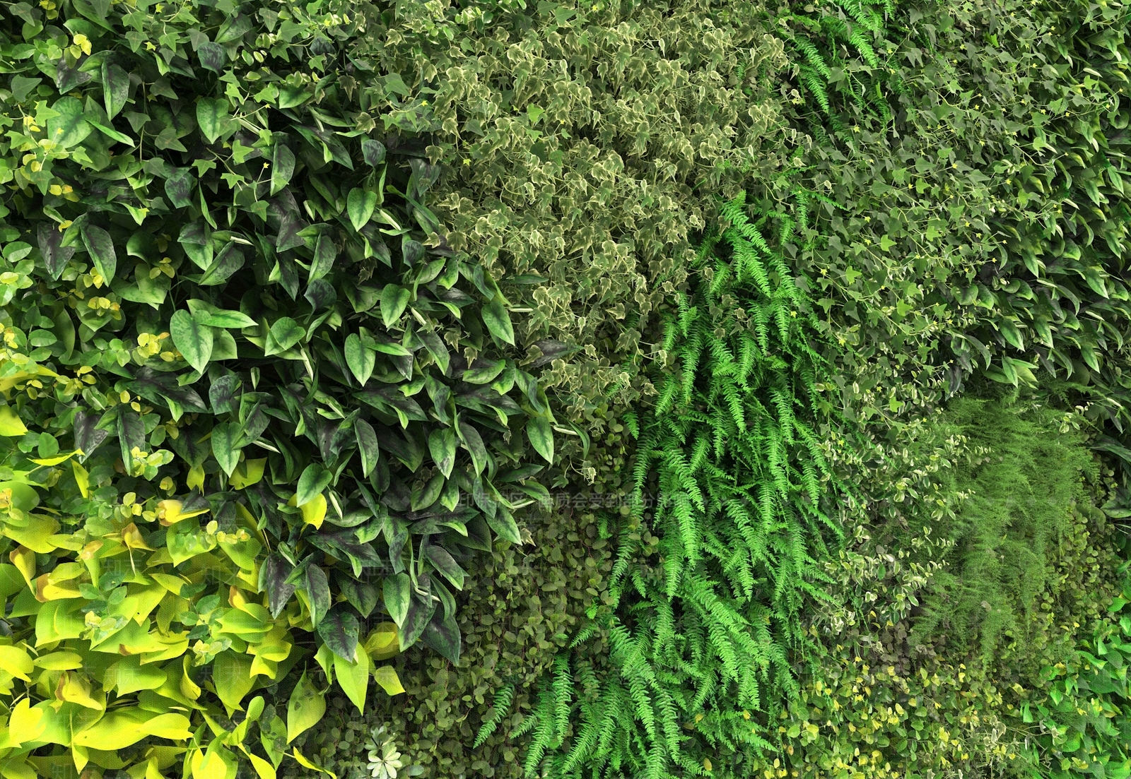 现代绿植墙3D模型下载【ID:473647253】