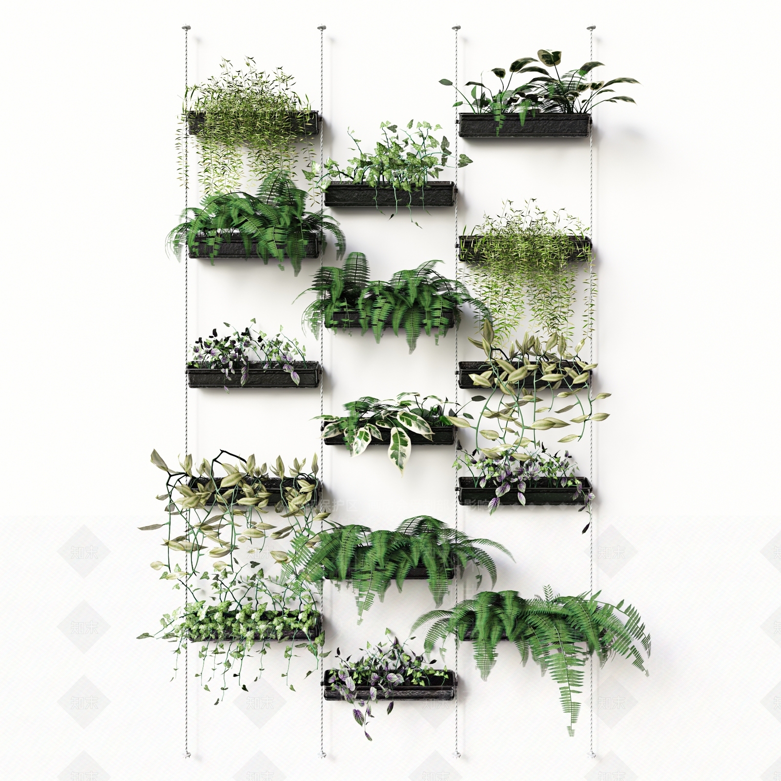 现代植物墙3D模型下载【ID:473667216】