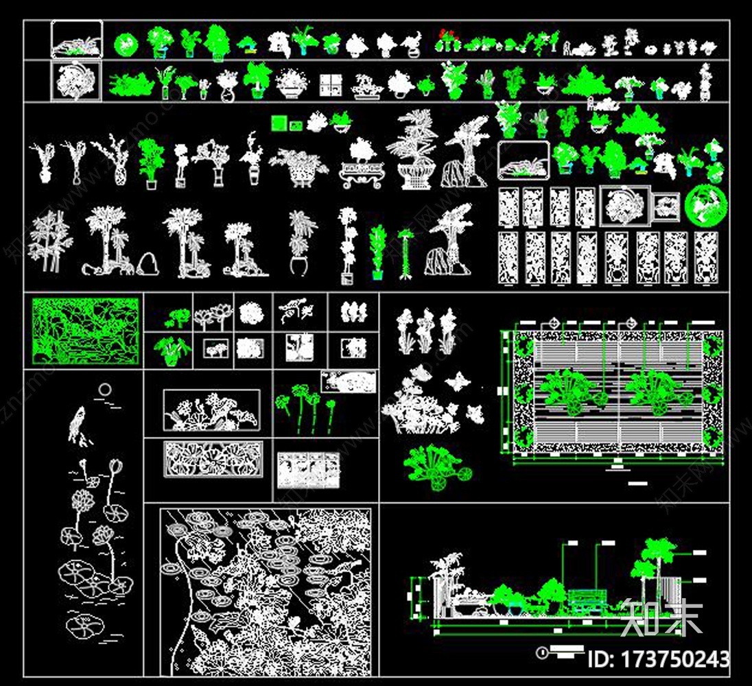 植物CAD图库cad施工图下载【ID:173750243】