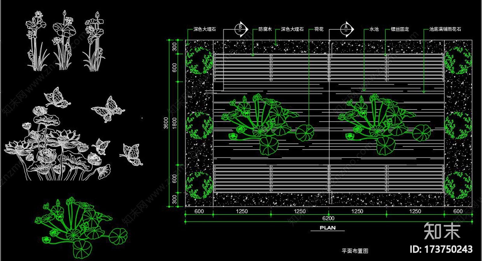 植物CAD图库cad施工图下载【ID:173750243】