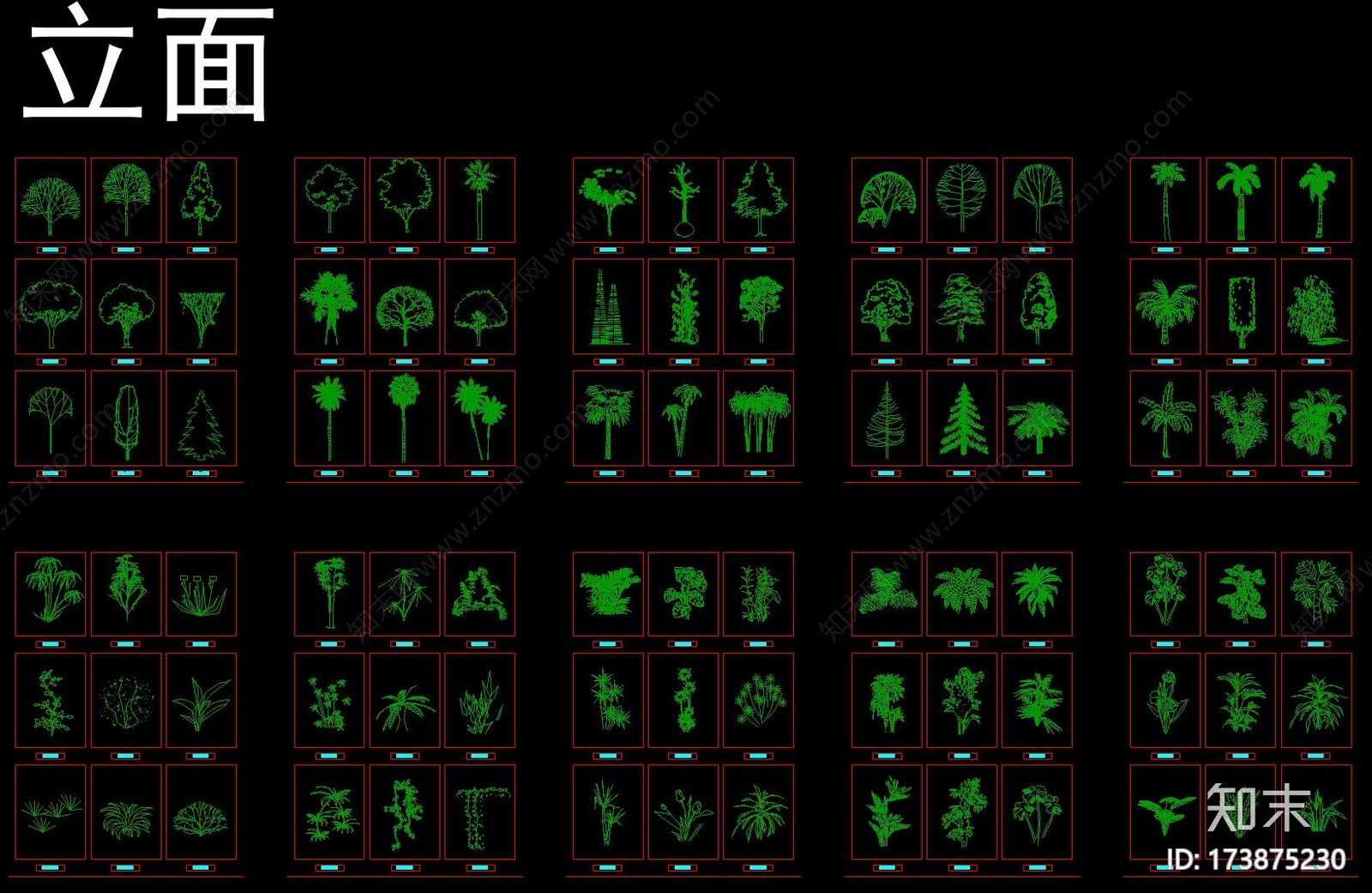 植物立面图块cad施工图下载【ID:173875230】