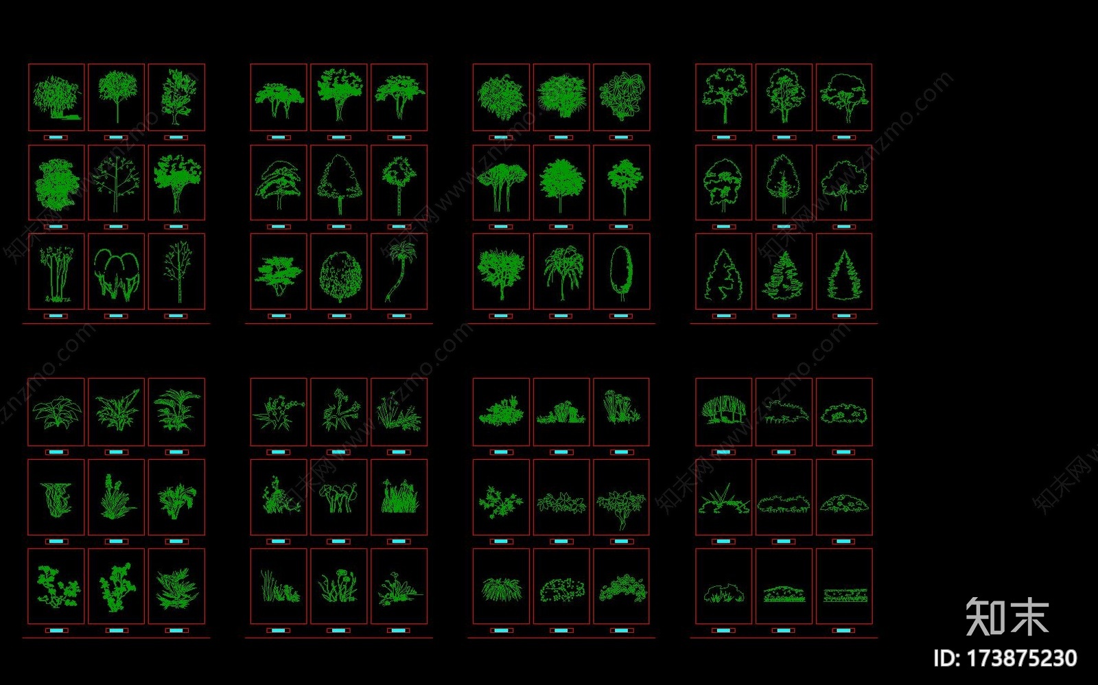 植物立面图块cad施工图下载【ID:173875230】
