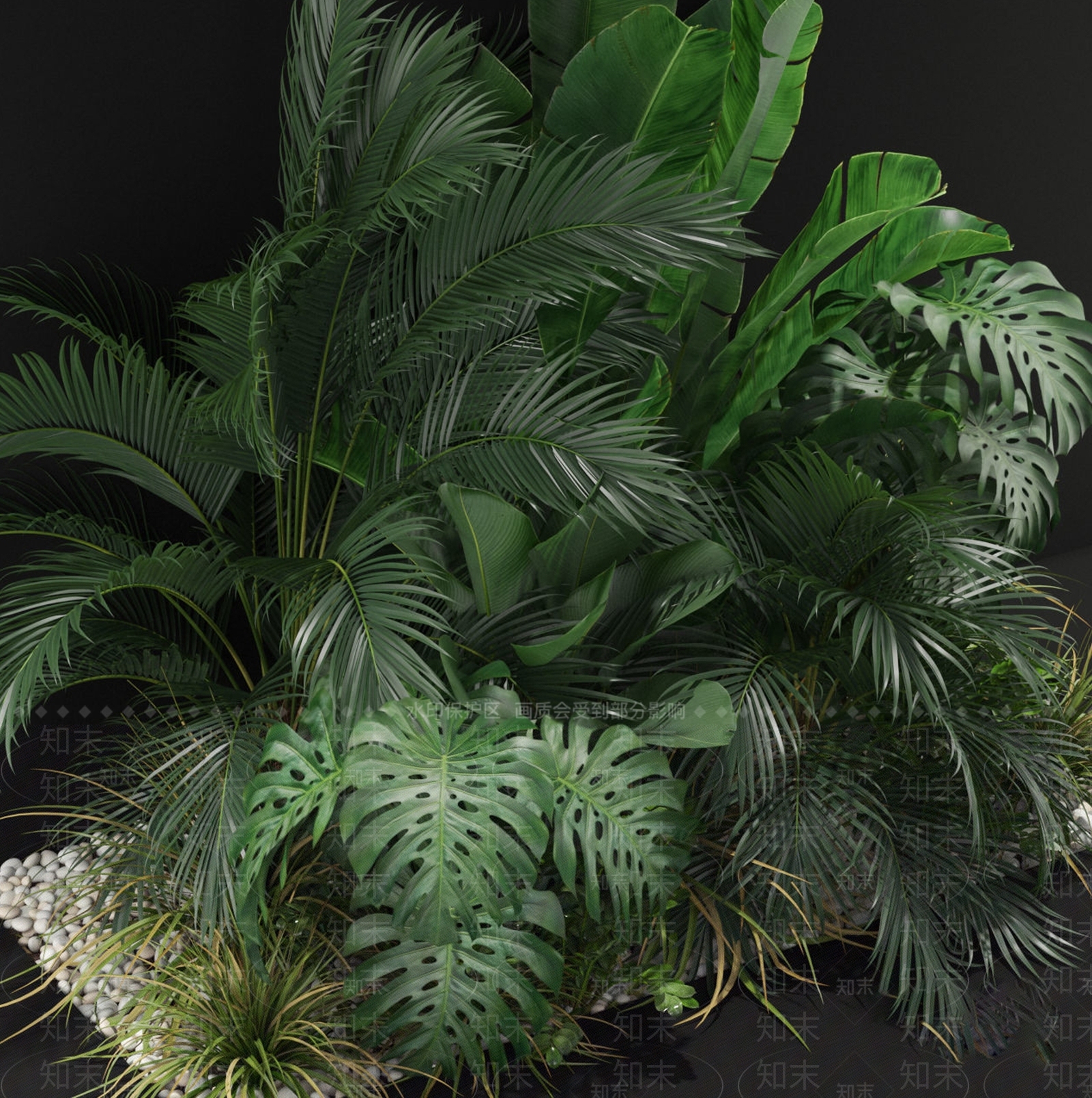 现代植物3D模型下载【ID:674016750】