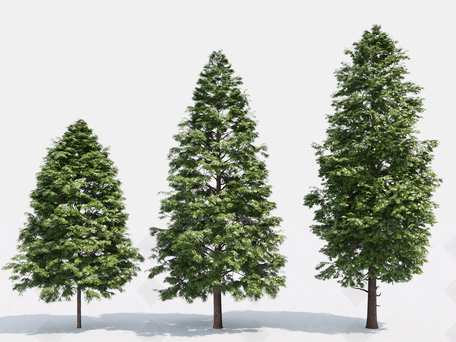 现代室外树3D模型下载【ID:374042620】