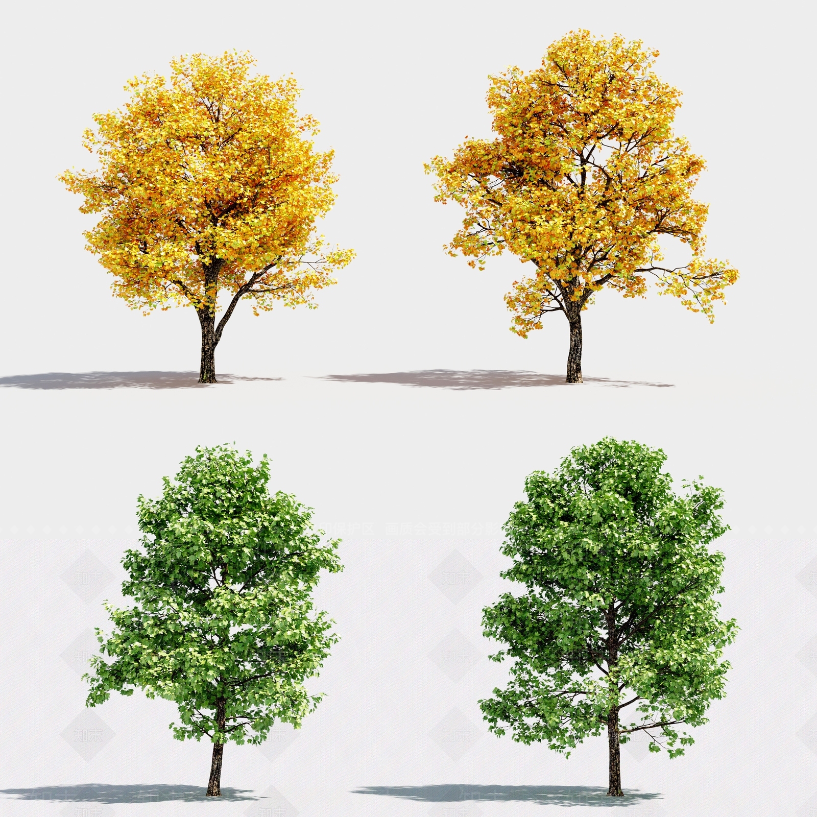 现代景观树3D模型下载【ID:374129640】