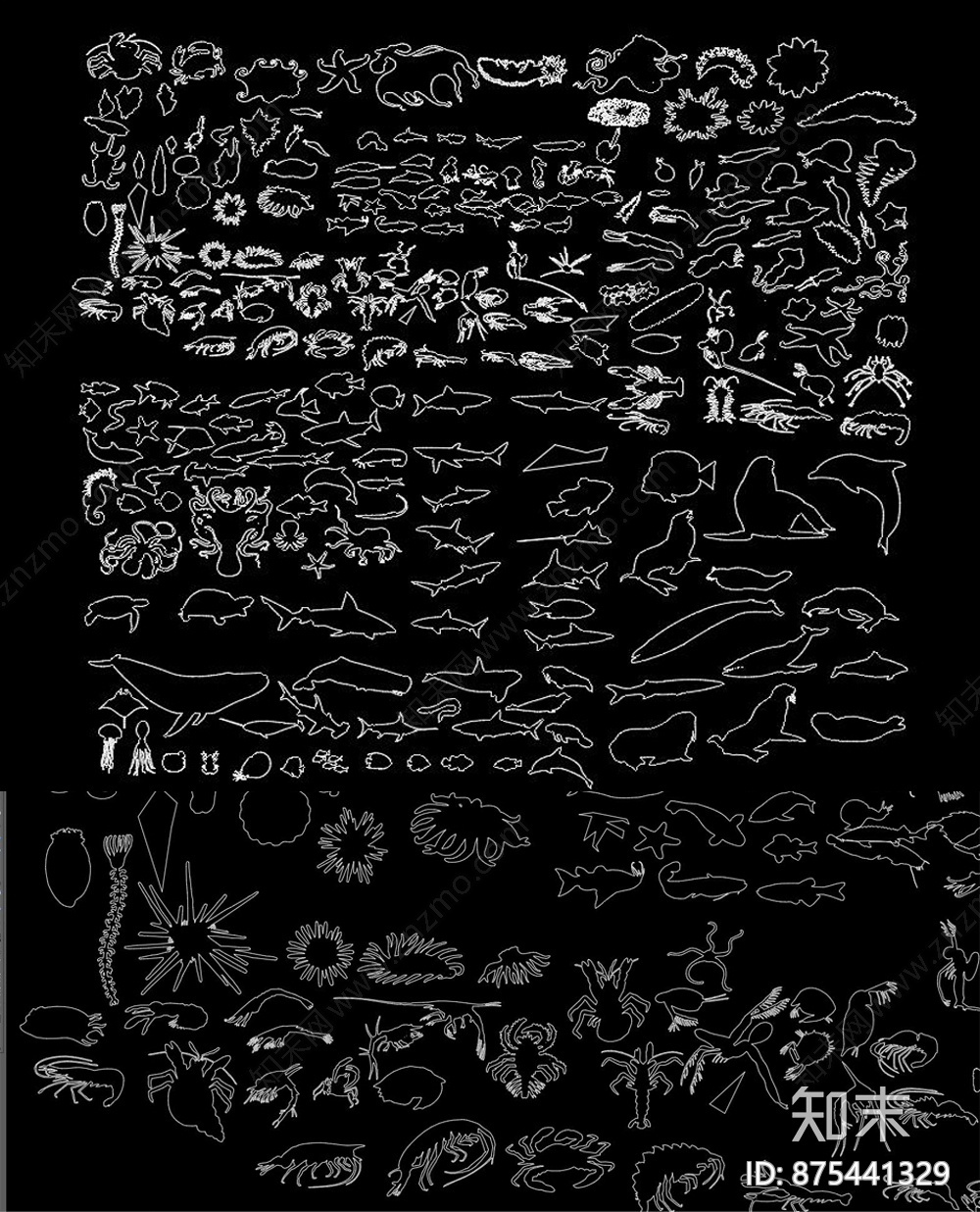 海洋生物施工图下载【ID:875441329】