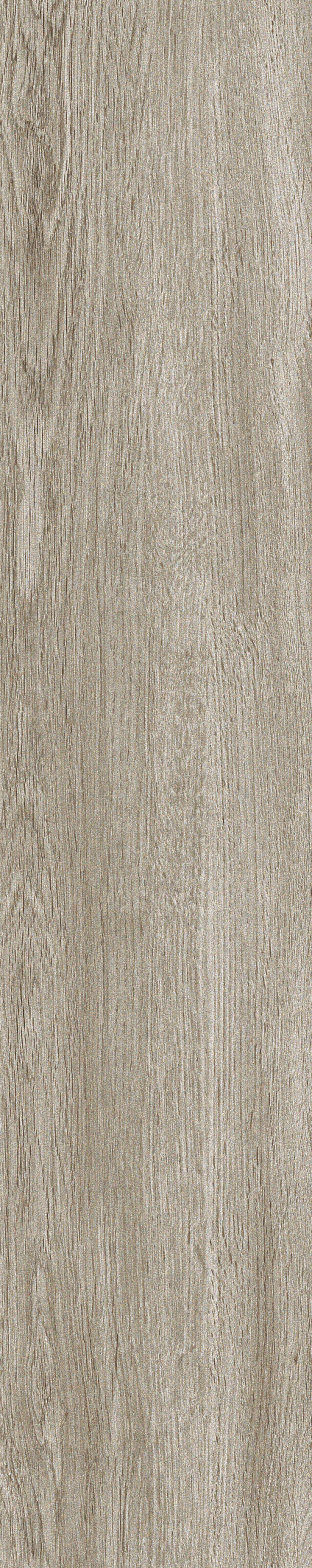 欧洲枫木木纹贴图下载【ID:578057979】