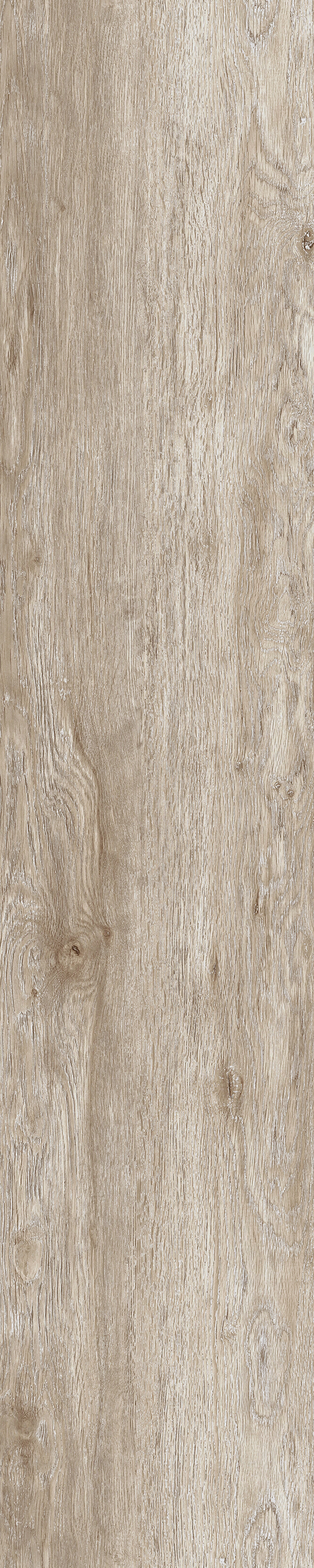 欧洲枫桦木木纹贴图下载【ID:578062992】